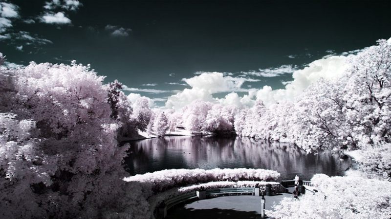 Photography Tip: Green turns into snow under infrared photography