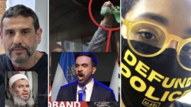 Insights on the Current Divisions within the Democratic Party