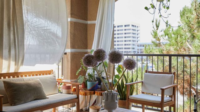 Discover the Ultimate Outdoor Comfort with Costco's New Sun Shade | top online casino real money, sa