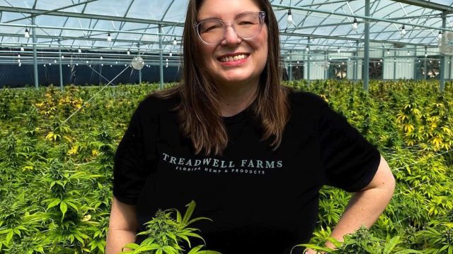 Hemp Farmers Face Uncertainty as November Ban Looms | slot deposit pulsa 15rb, rgotogel jepang, gamb
