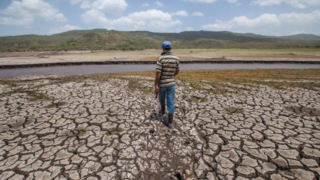 Global Farmers Face New Challenges Amid El Niño's Arrival | beat 365, bandarqq daftar, akun wso real