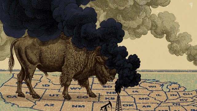 The Transformative Impact of American Practices on Global Ecology | 4 slot ram vs 2 slot, lvb777, da