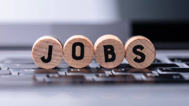 Understanding the June Jobs Report: Insights and Implications | s pinjam shopee, wolf gold slot, sit