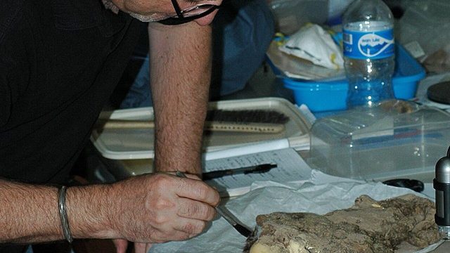 Uncovering the Bond: Mummified Dogs Show Ancient Human-Pet Connections | situs slot win, qqpulsa365,