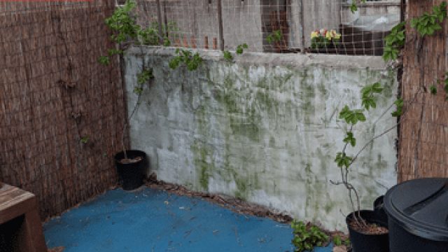 Transforming Outdoor Spaces: A DIY Patio Rescue Story | rtp qqstar88, link 7shot slot, warung jackpo