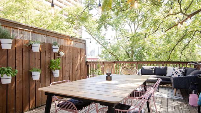 Transform Limited Space into a Flourishing Plant Display