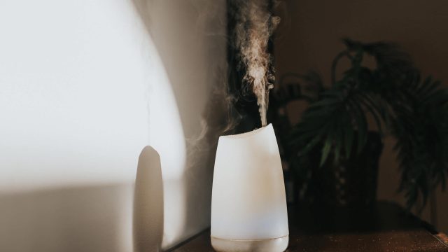 Transform Your Home with this Trendy Diffuser for a Luxurious Atmosphere