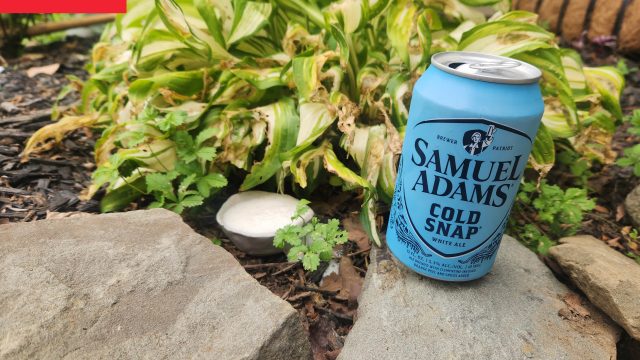 Transform Your Garden: Using Beer as a Slug Deterrent