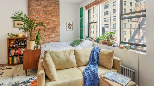 Transform Your Living Space: Creative Uses for Pet-Style Furniture