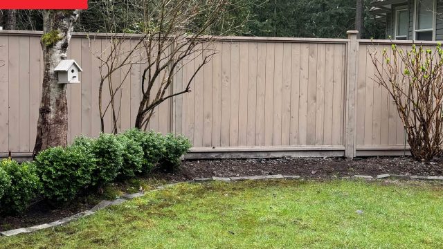 Transforming Your Backyard: A Guide to Creating Your Garden Oasis