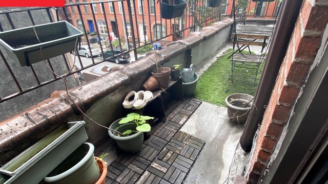 Transform Your Balcony: Affordable DIY Ideas for a Green Escape