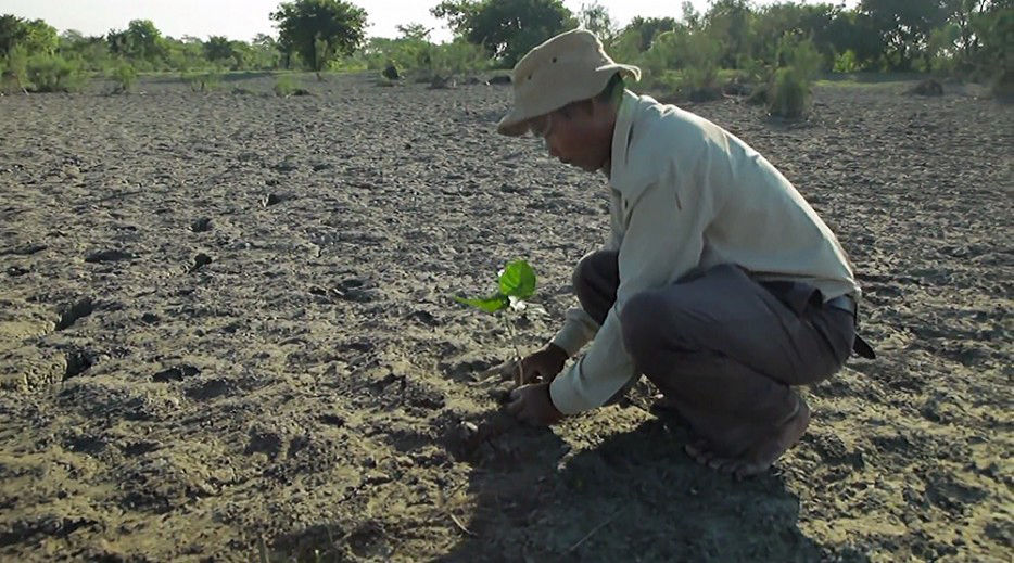 An Indian islander has been planting trees for 35 years, turning 550 hectares of deserted island int