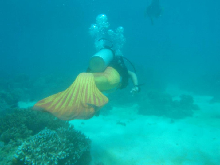 Swimming school teaches you how to become a mermaid--top emoticon