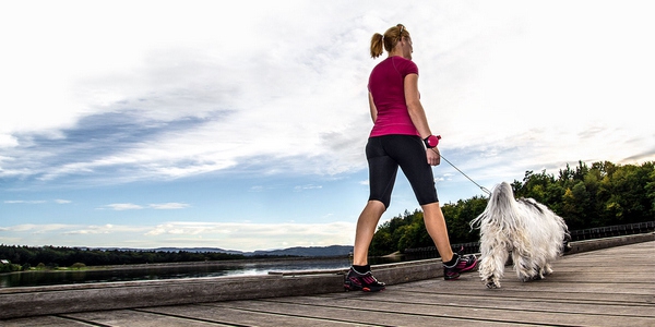 Lishinu, a dog walking leash that can be worn on the wrist, makes it easier for you to walk your dog - pinned emoticon