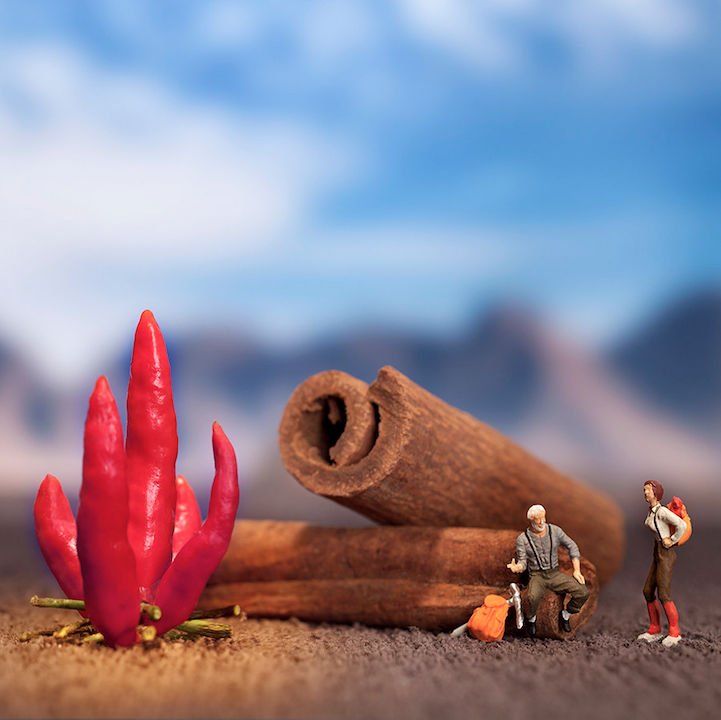 Macro photography of food and puppets, each has a different story - pinned emoticon